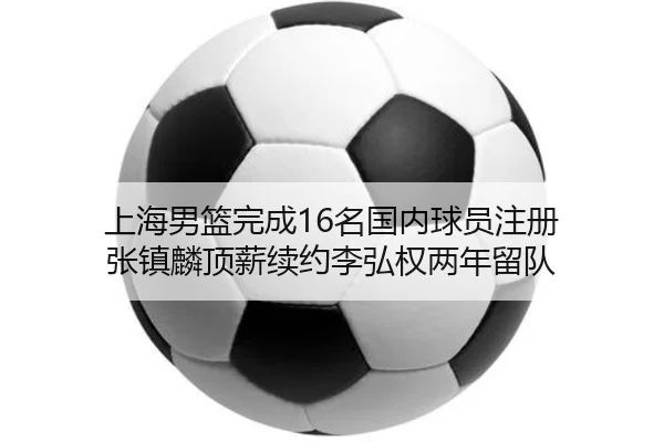 上海男篮完成16名国内球员注册 张镇麟顶薪续约李弘权两年留队 | leyu.comapp