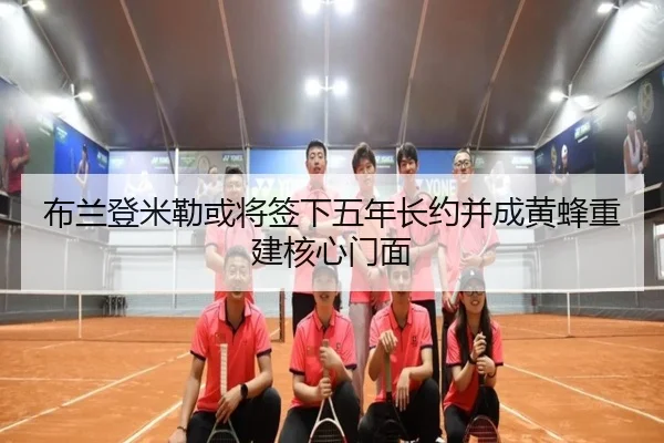 布兰登米勒或将签下五年长约并成黄蜂重建核心门面 | leyu.comapp